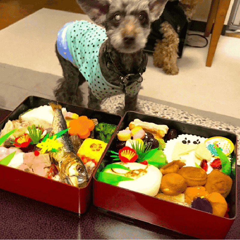 ��ڡ�����������Ѥ��������ʽš��ʸ����ʡ�������