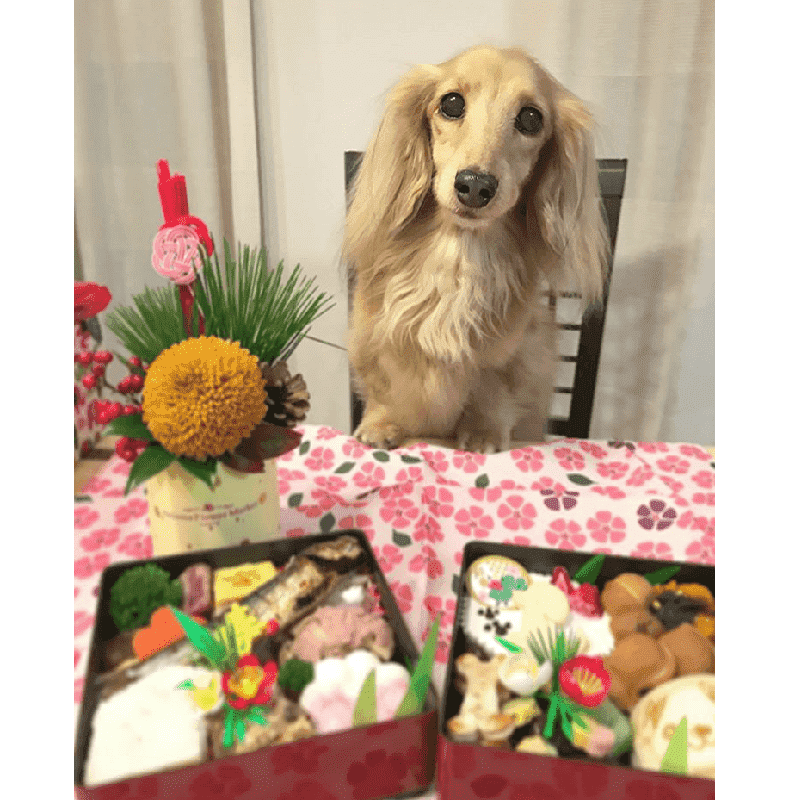 ��ڡ�����������Ѥ��������ʽš��ʸ����ʡ�������