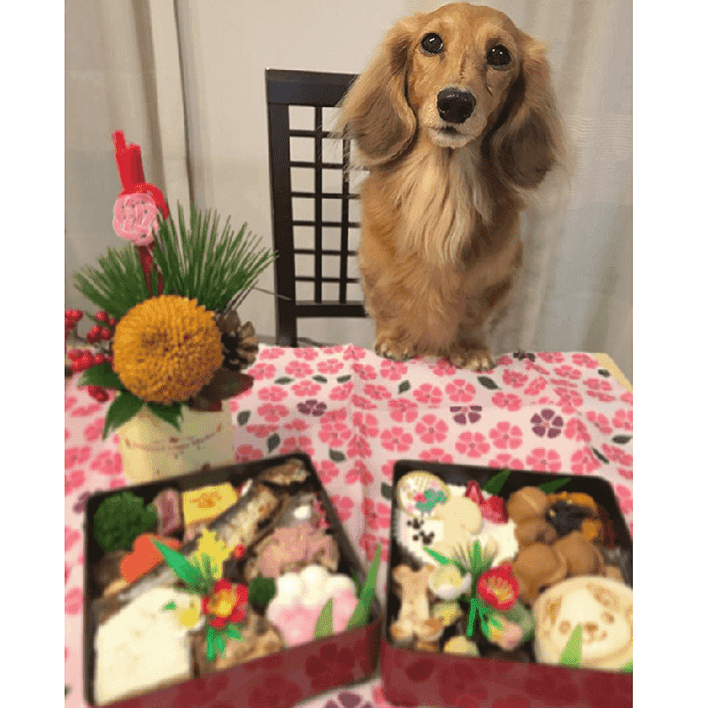 ��ڡ�����������Ѥ��������ʽš��ʸ����ʡ�������