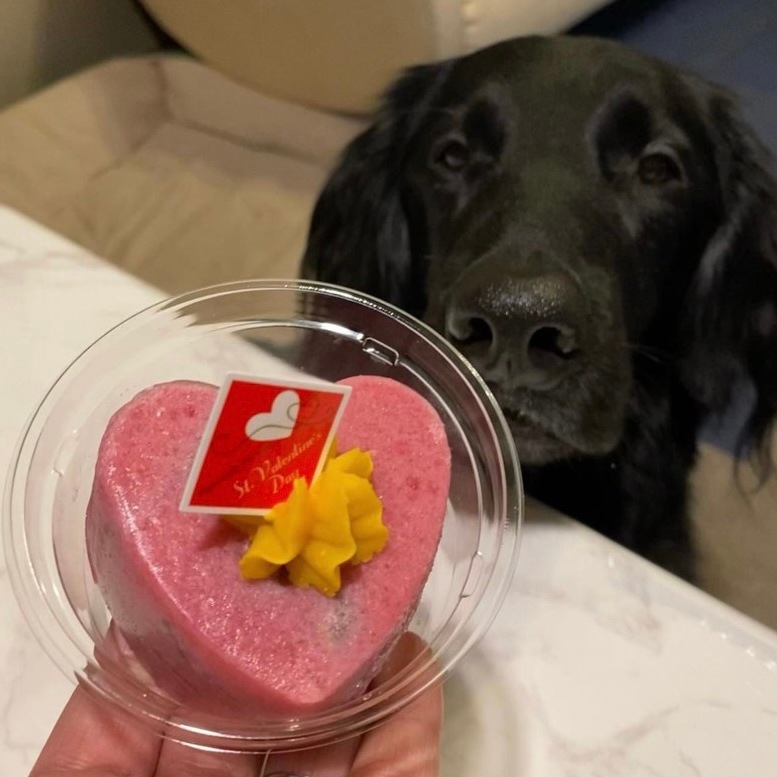 ��Ǯ�Υ��ӥ���The Red Heart����������