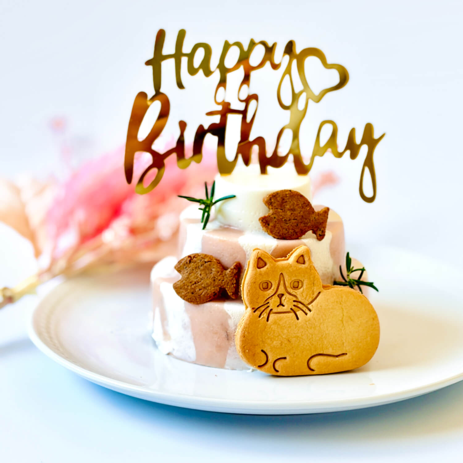 ǭ�� ������󡦥������� ��������