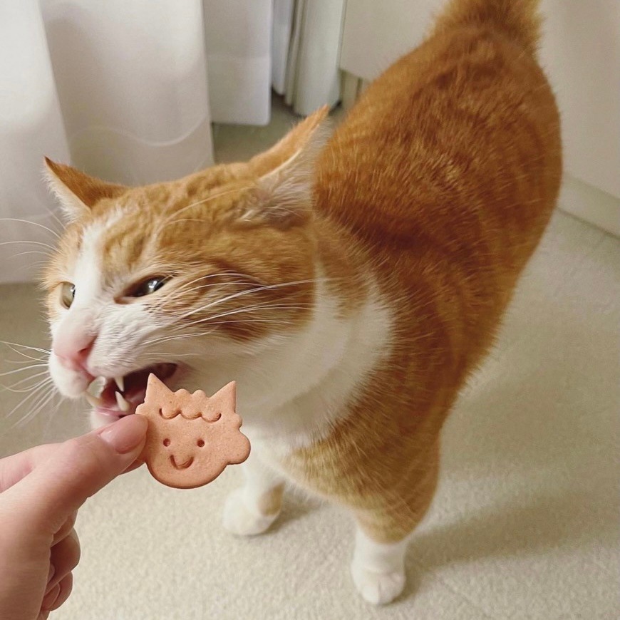 �ߤ�ʤǵ��༣�����ѥ��å���