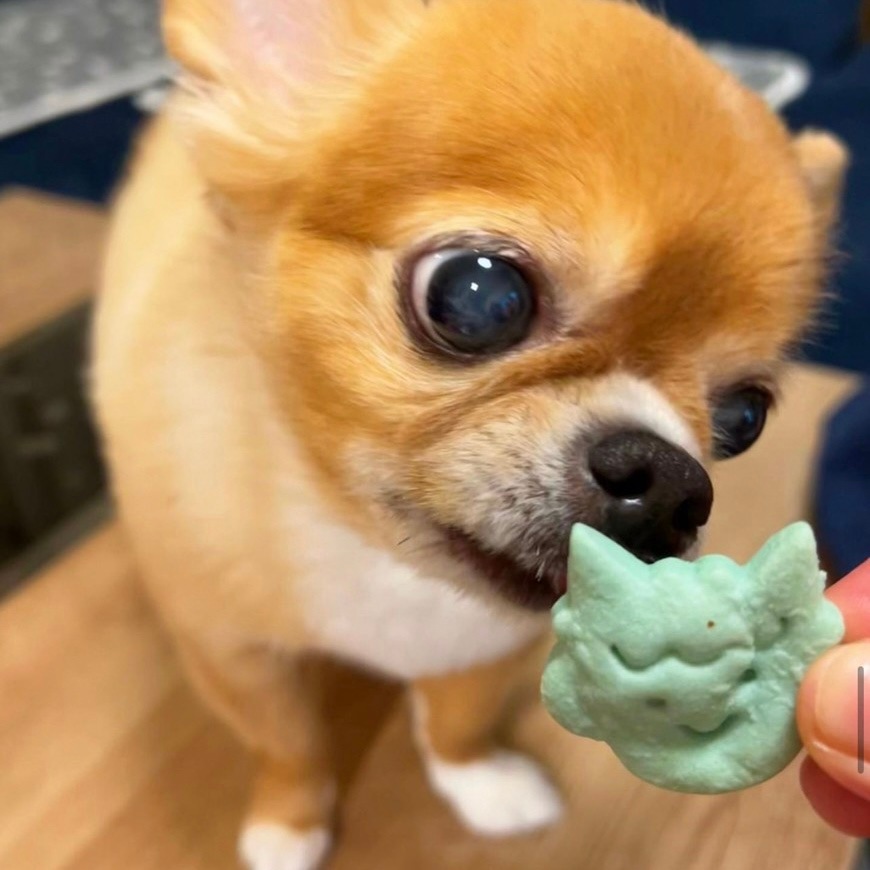 �ߤ�ʤǵ��༣�����ѥ��å���