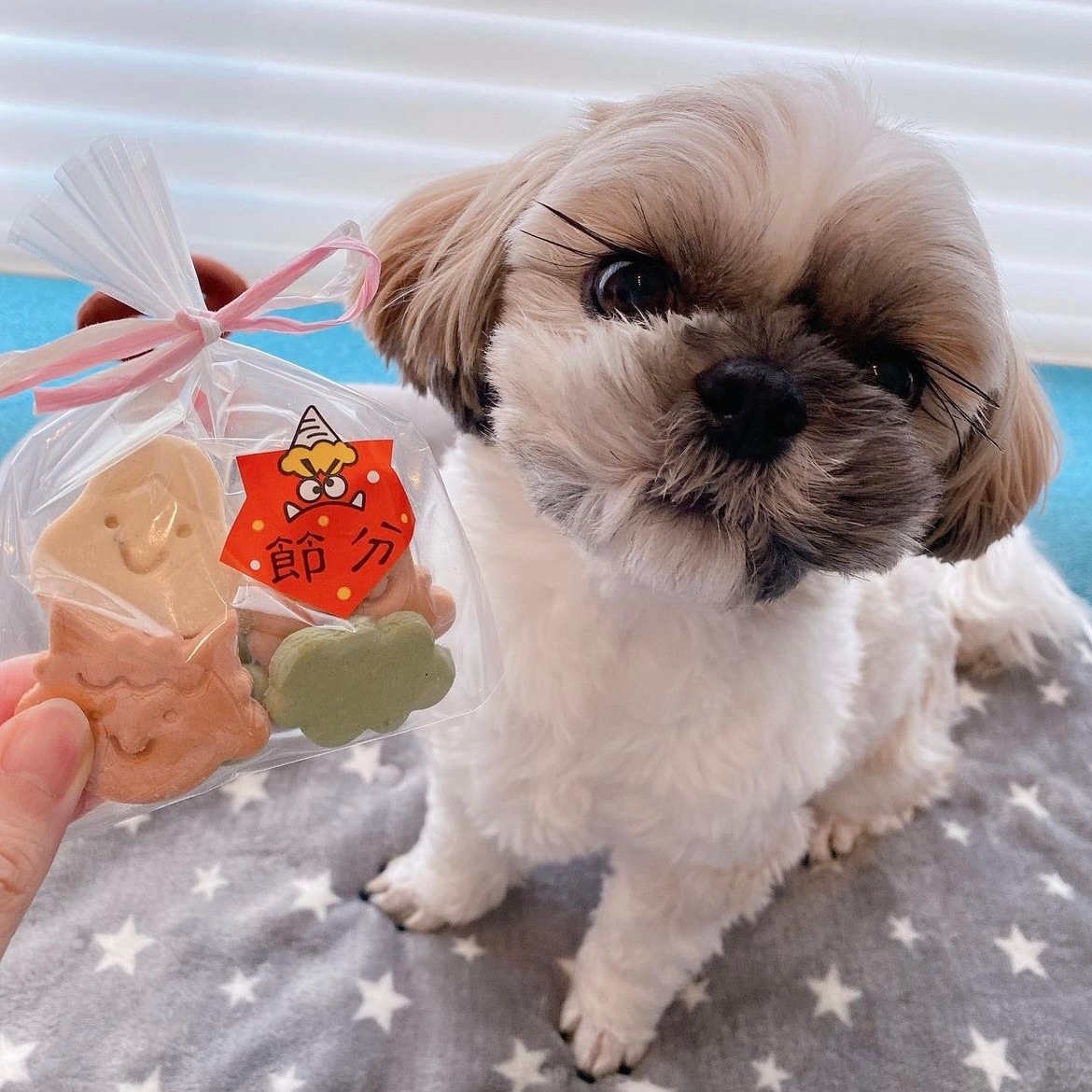 ����륮���б�����ʬ�ե�󥺡�