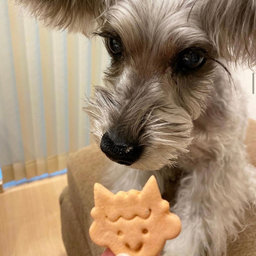 ����륮���б�����ʬ�ե�󥺡�