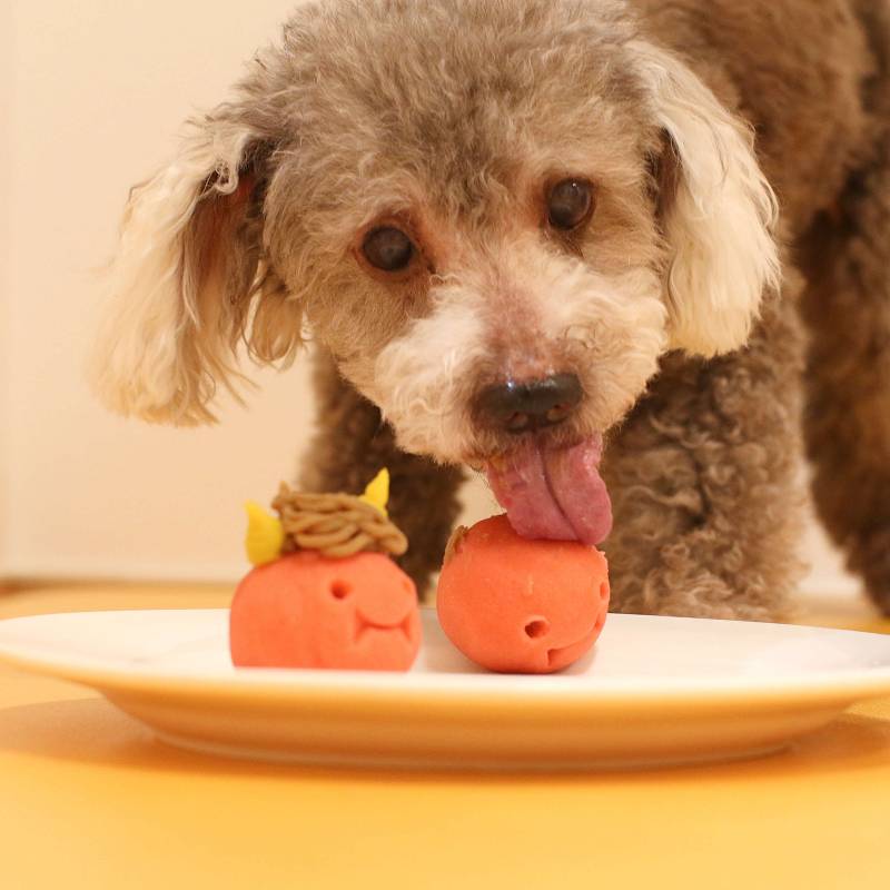 ��kun�ȵ�chan��������