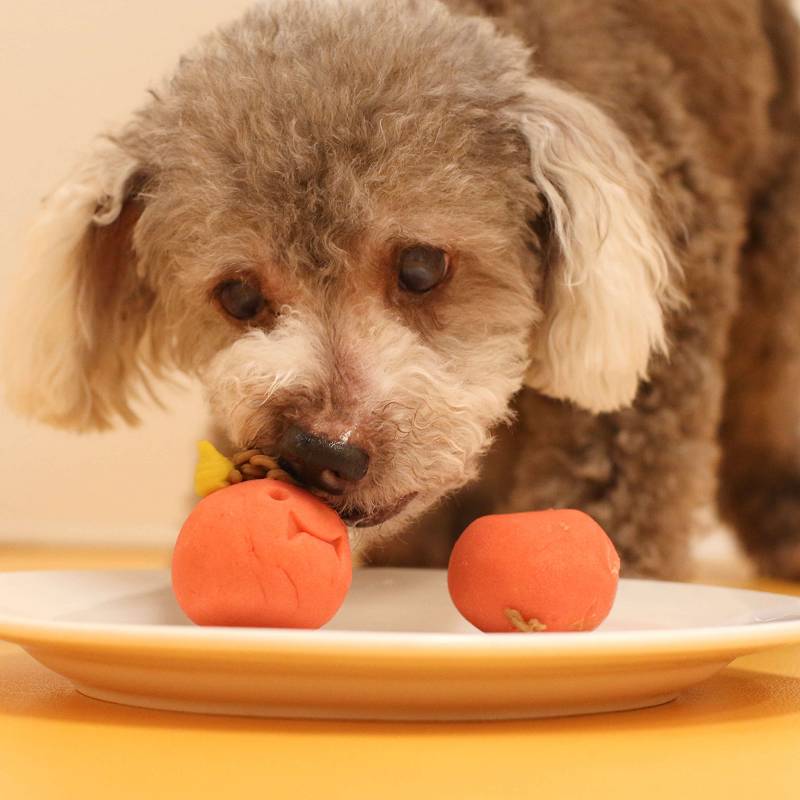 ��kun�ȵ�chan��������