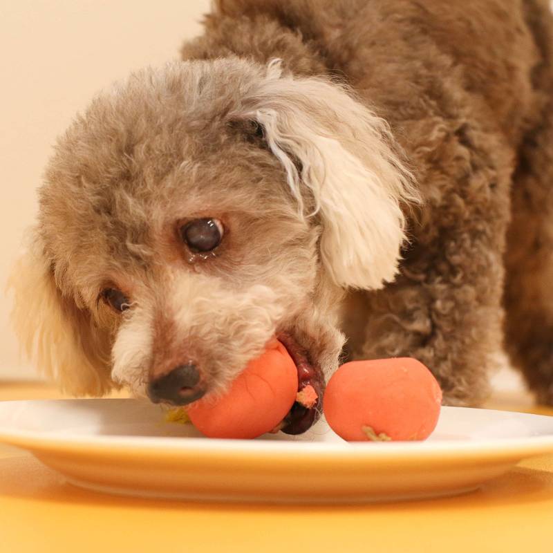 ��kun�ȵ�chan��������