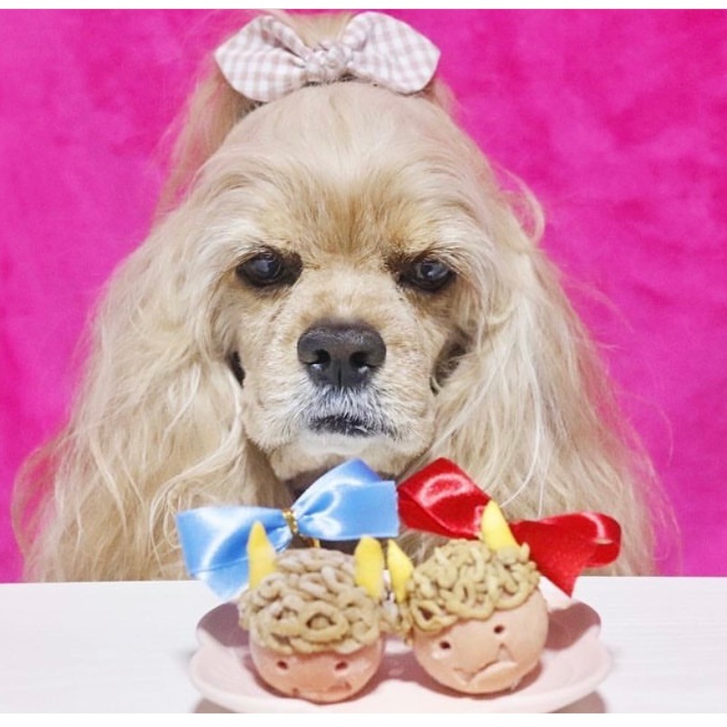 ��kun�ȵ�chan��������