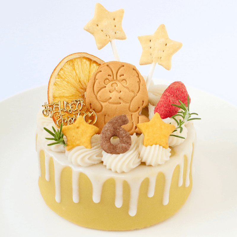 DearMyDog������륮���б�Drip�ǥ��졼����� ��������