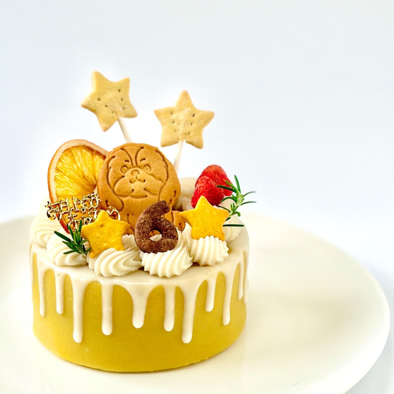 DearMyDog������륮���б�Drip�ǥ��졼����� ��������