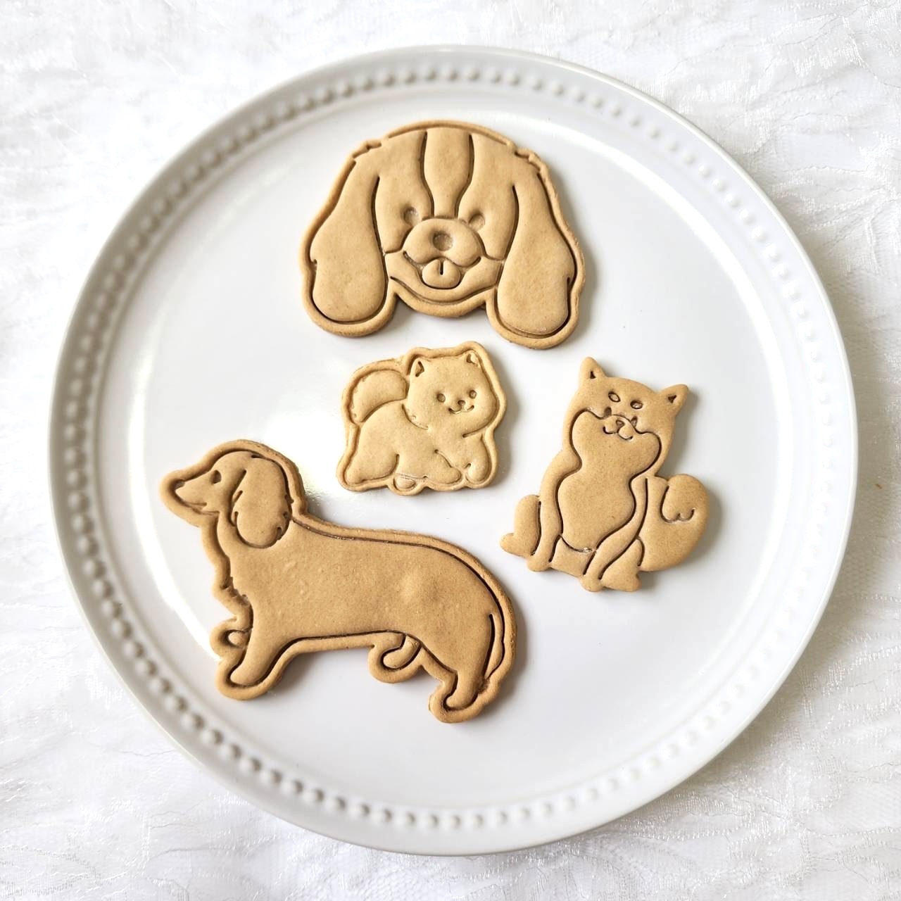 DearMyDog������륮���б�Drip�ǥ��졼����� ��������