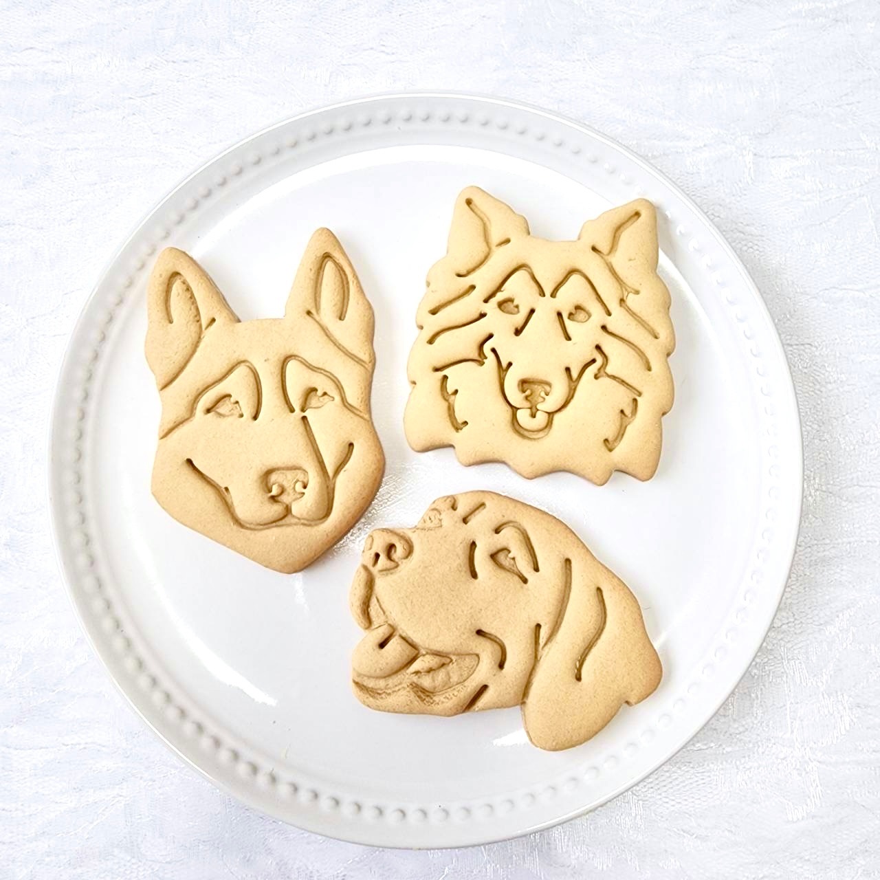 DearMyDog������륮���б�Drip�ǥ��졼����� ��������