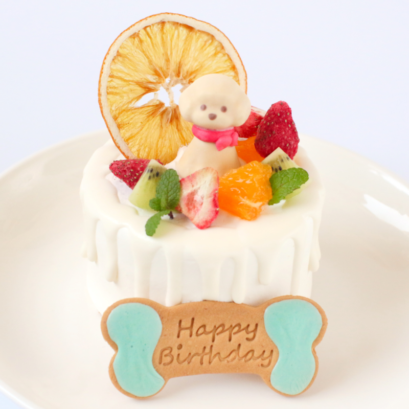 �ե롼�� Garden��3��� ��������