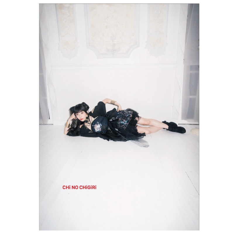 ��RISA AIZAWA BIRTHDAY EXHIBITION��CHiNOCHiGiRi����ZINE