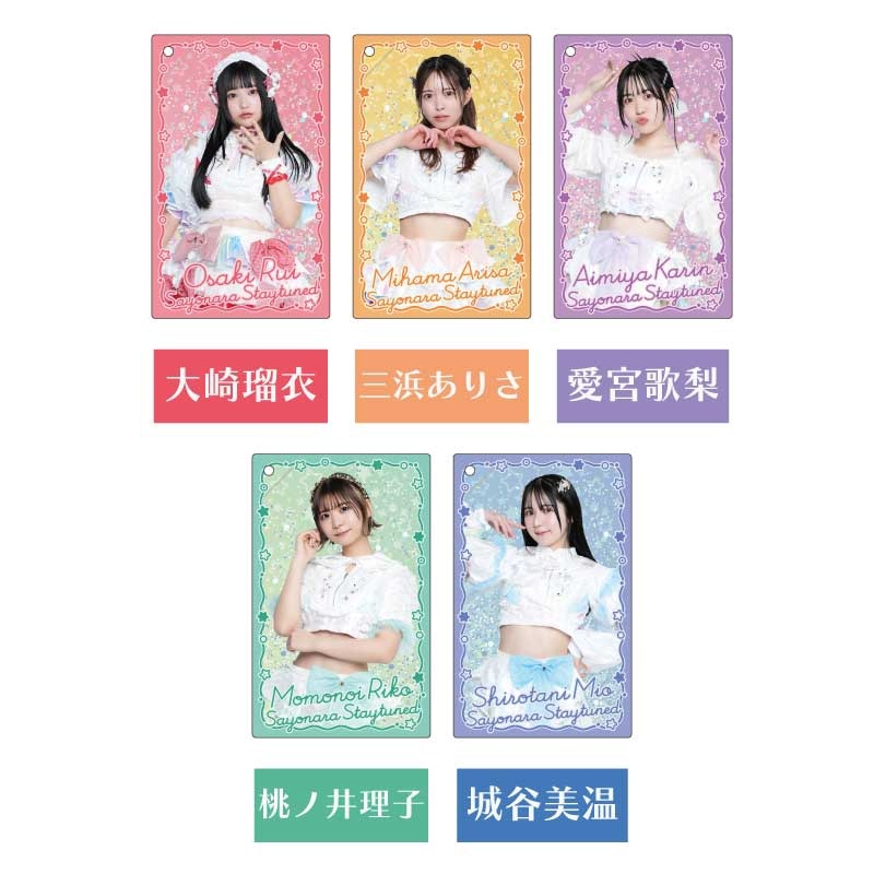 ʤ饹ƥ塼󡿥륤󥢥