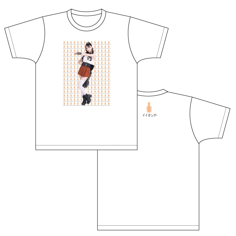 ���и�����������2024��T�����