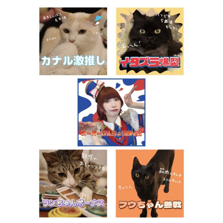 ��ƣ��̲��ۥ��ƥå���5�祻�å�