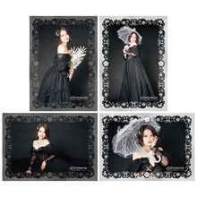 ھ褦alstroemeria ९ꥢ2祻å