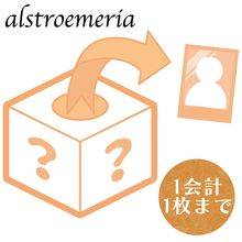 �ھ����褦��alstroemeria �����������