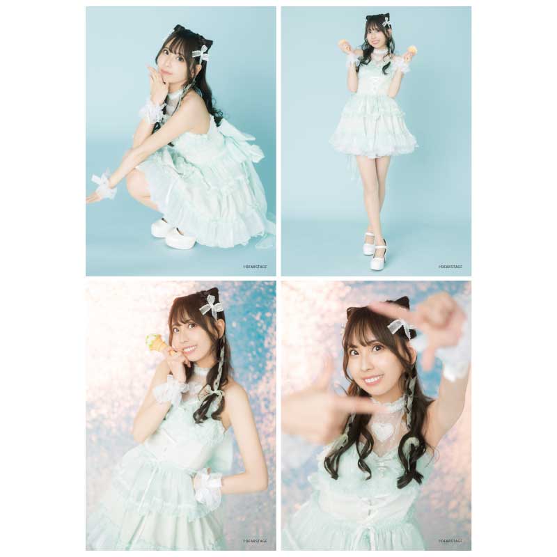 �������������2025�ۥ֥��ޥ���4�祻�å�