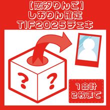 ������󤴡�����������TIF2025������