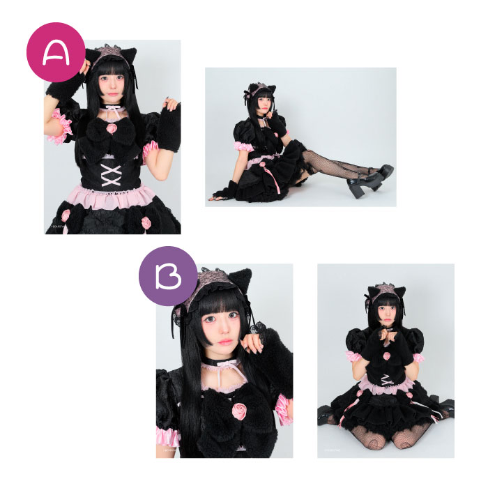 �ڷ���ͤ�����2025��2L�֥��ޥ���2�祻�å�A/B