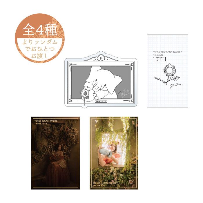 �����褦2025���¥��å�����4������ॹ�ƥå���