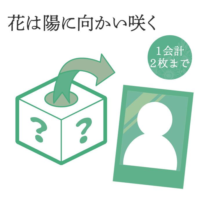 �����褦2025���¥��å��������������