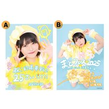 虹のコンキスタドール - DSPM公式通販