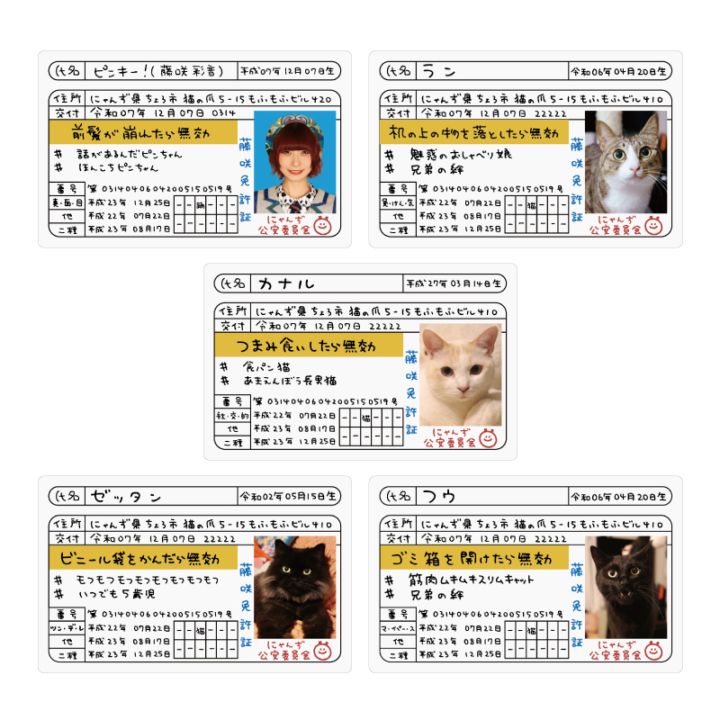 ��ƣ��̲�����2025�ۥ������ȵ������ȥ쥫