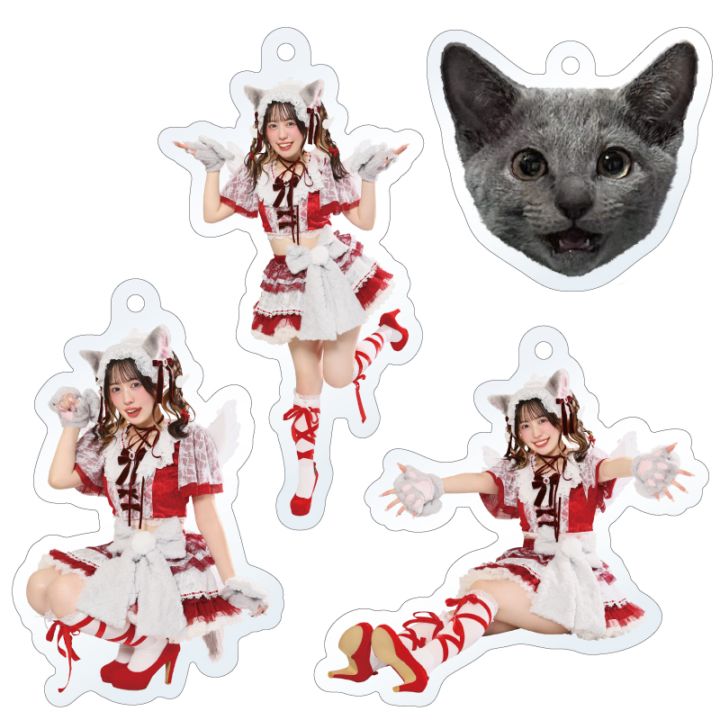 �ڰ��ܲ���2026���¡ۥ����ॢ����륭���ۥ����