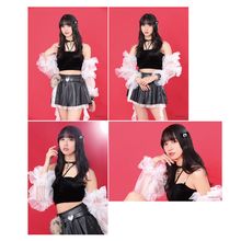 ��������������2026�ۥ֥��ޥ���4�祻�å�