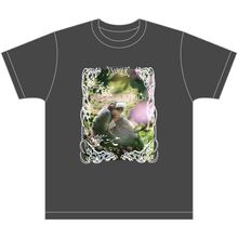 �ں��������2026��T�����