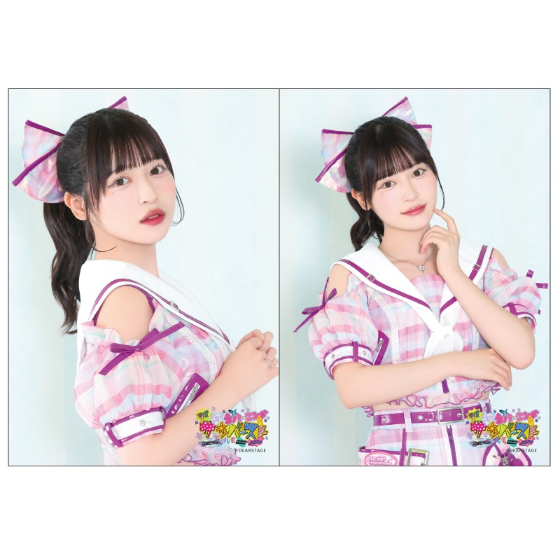 ��ʿ�����¥ͥС�����ɥ���С����ȡ�2L�֥��ޥ���2�祻�å�