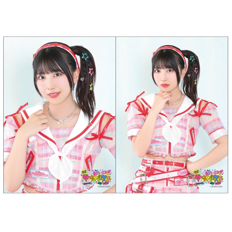 ��ʿ�����¥ͥС�����ɥ���С����ȡ�2L�֥��ޥ���2�祻�å�