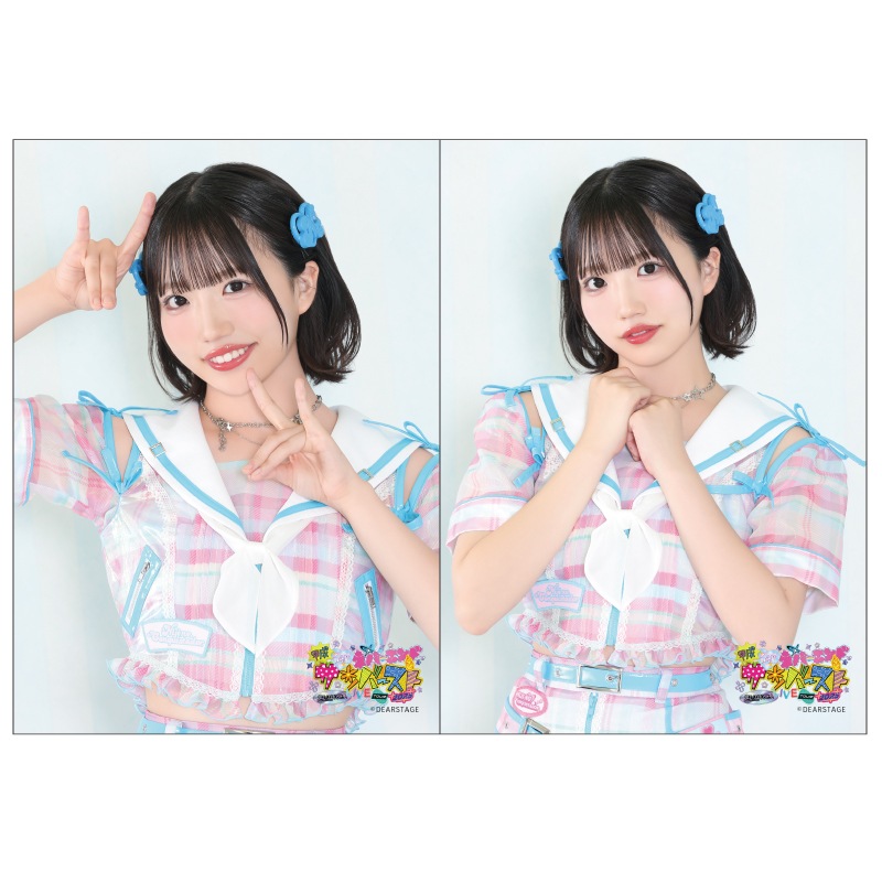 ��ʿ�����¥ͥС�����ɥ���С����ȡ�2L�֥��ޥ���2�祻�å�