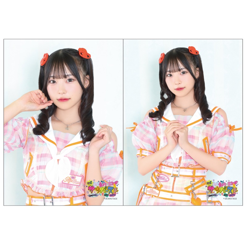 ��ʿ�����¥ͥС�����ɥ���С����ȡ�2L�֥��ޥ���2�祻�å�