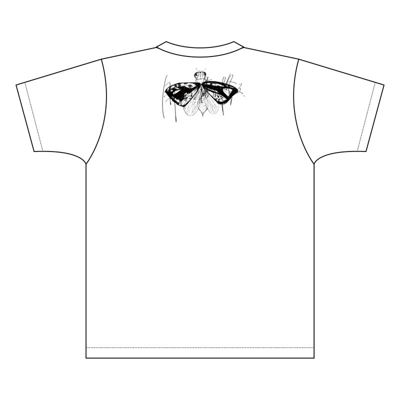 ڰִ2021T