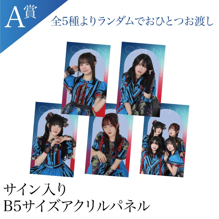 November First -111פ