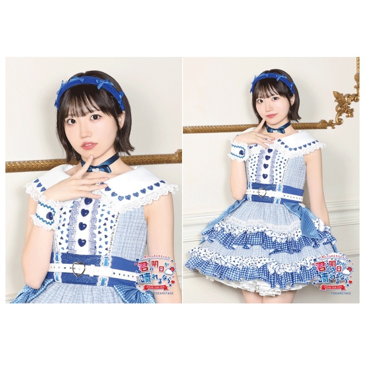 ��������ַۡ��������������ʤ��2L�֥��ޥ���2�祻�å�