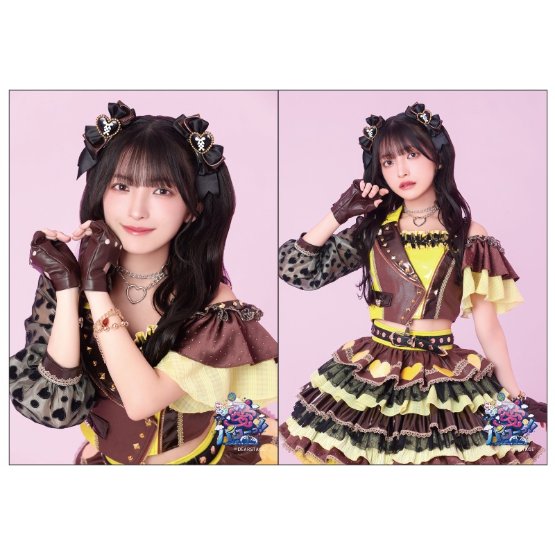 ��������֤ۡ��줳�������Υѥ�á�����2L�֥��ޥ���2�祻�å�