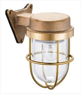 マリンゴールド 6597678_plp_obverse-202x202.jpg