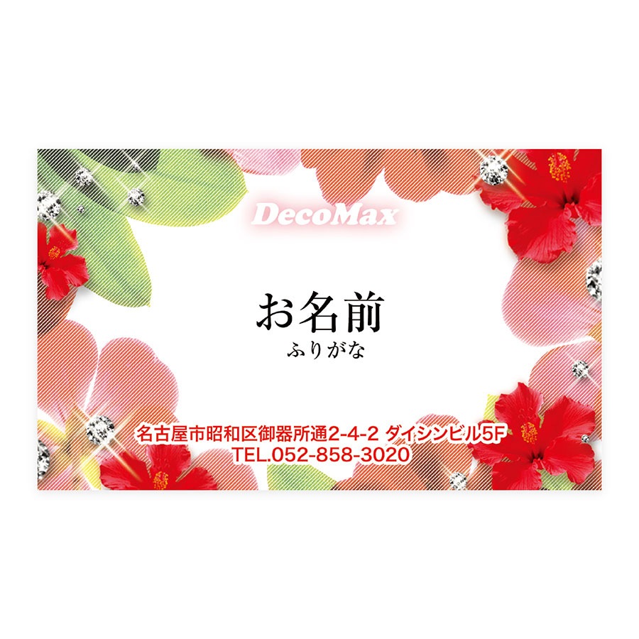 �ϥ��ӥ�����&�饤�󥹥ȡ���