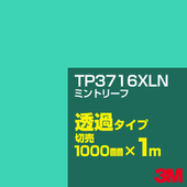 3M TP3716XLN �ߥ�ȥ꡼�� 1000mm����m���䡿3M �����å�����ե���� XLN���꡼�� Ʃ�᥿���ס������ե���ࡿ���åƥ����ѥ����ȡ��ġʥ֥롼�˷� TP-3716XLN
