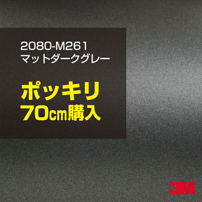 70cm���� 3M ��åԥ󥰥����� 2080-M261 �ޥåȥ��������졼 1524mm����70cm���� 2080M261 ������:1080-M261 