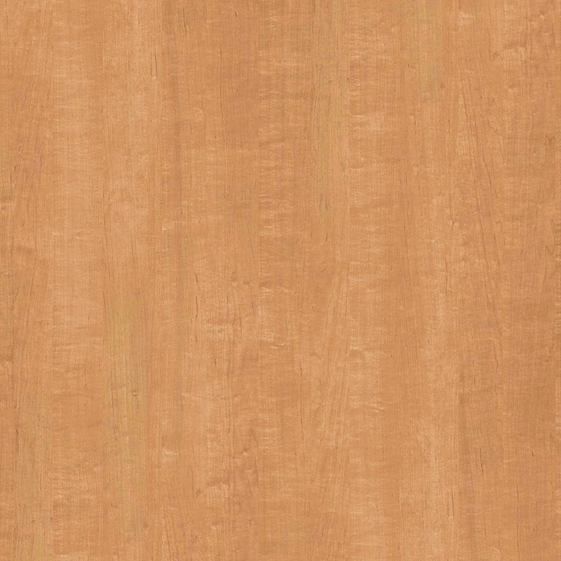 �ꥢ�ƥå� TC-4263 �ᥤ�ץ� ���� W1220mm��50m������ sangetsu ���󥲥�