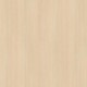 �ꥢ�ƥå� TC-5053 �� ���� W1220mm��50m������ sangetsu ���󥲥�