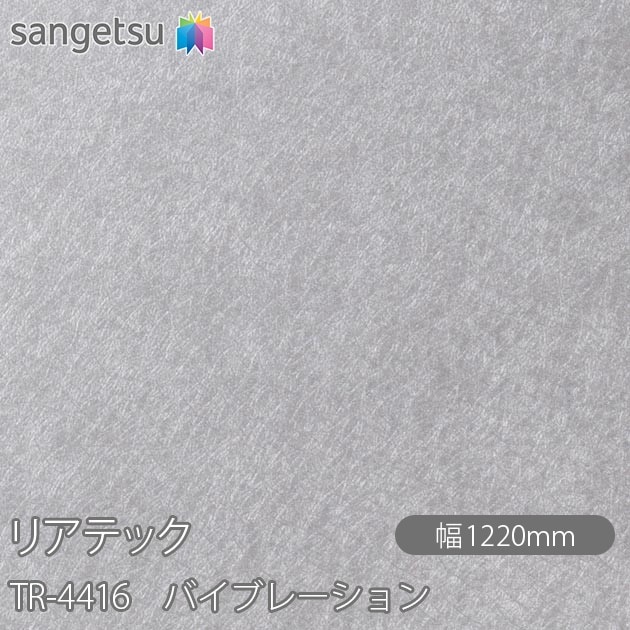 りあんページ ライブディオ ZX リアスポイラー スケルトン 羽上げスティ セット