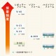 3M VHB�ơ��� V-31 ���ơ��׸� �� 0.6mm���㲹�����ѡ�25mm��10m�����꡼���ࡿξ�̥ơ��ס�Ķ����